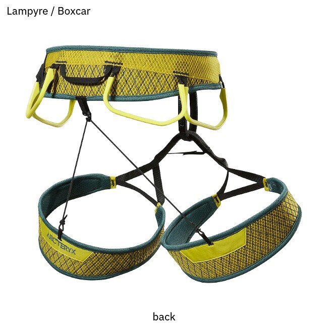 アークテリクス ARC'TERYX スカハ ハーネス ウィメンズ Skaha Harness Ws アウトド...