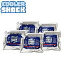 クーラーショック COOLER SHOCK Sサイズ 5個セット キャンプ 保冷剤 保冷パック