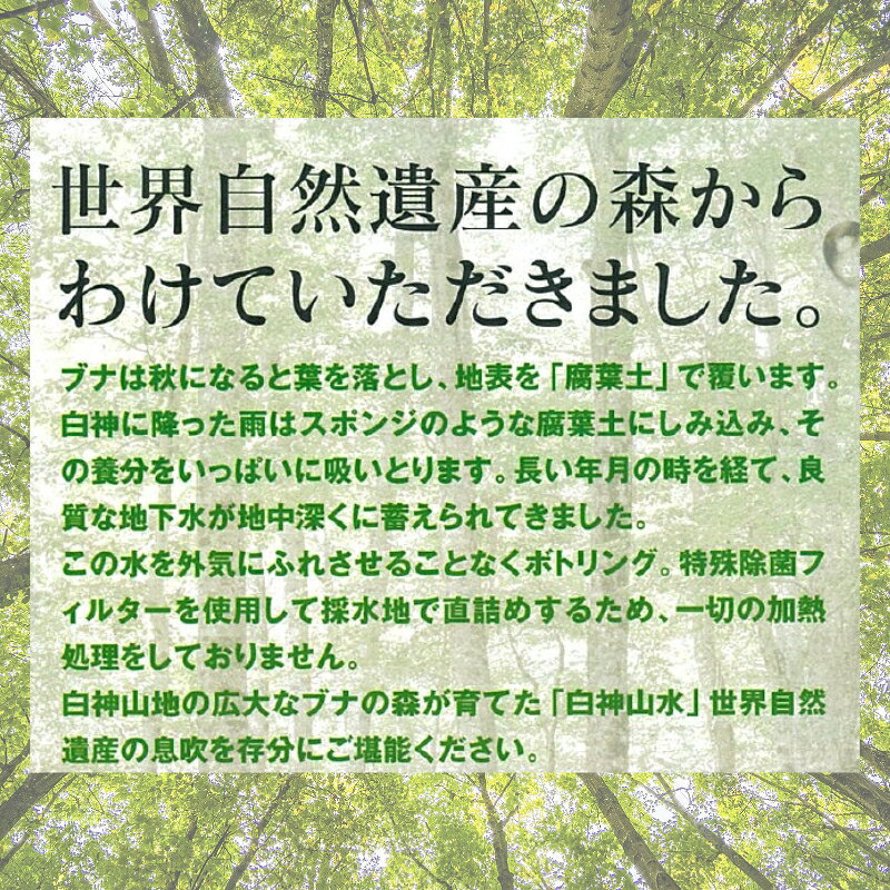 サンプル画像3