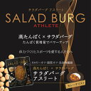 (55)[5袋]蒟蒻と大豆でつくった サラダバーグアスリート(カレーテイスト) 90g×5袋 送料無料常温 グルテンフリー ヴィーガン 健康 高たんぱく質 低カロリー 低脂肪 低糖質 食物繊維 ロカボ 大豆ミート ソイミート フェイクミート 茂木食品工業 残暑見舞い 2