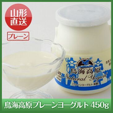 ふんわり、もっちり食感!山形県酒田から作りたてを直送!鳥海高原 ソフトヨーグルト 無糖 450g