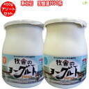 (345)【選べる2個】牧舎のヨーグルト(加糖・プレーン)450g×2個 松ぼっくり 乳酸菌H61株