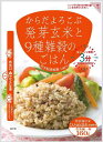 (55)[1袋] レンジご飯 発芽玄米と9種雑穀のごはん 160g×1袋　レトルトごはん レンジ ご飯 パック 国産 岩手県 ごはん 玄米 2