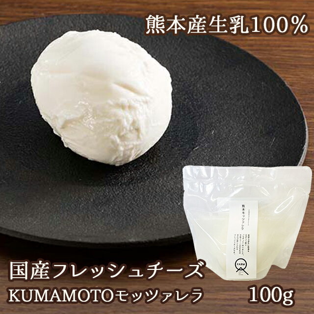 (357)[1袋] KUMAMOTOモッツァレラ 100g×1袋九州 熊本 産直 産地直送 石坂ファーム フレッシュチーズ モッツァレラチーズ 熊本県産生乳100％使用!!