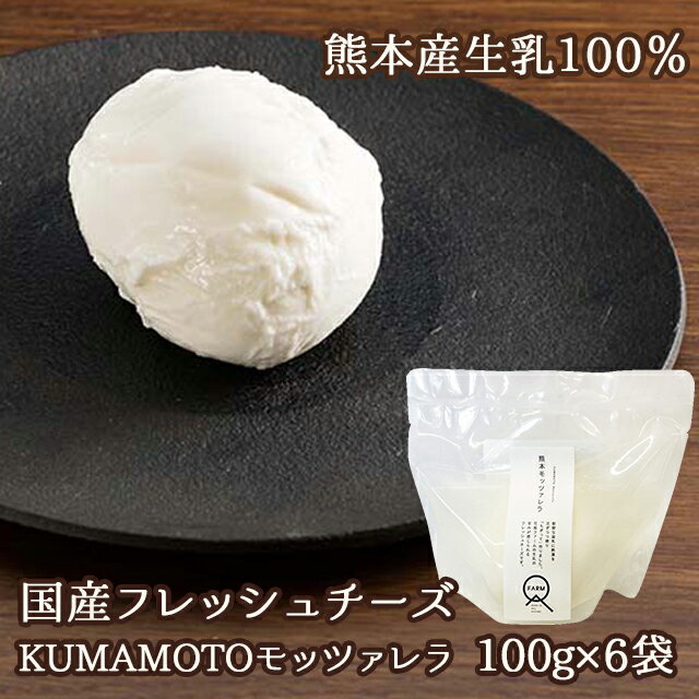 (357)[6袋] KUMAMOTOモッツァレラ 100g×6袋 送料無料 九州 熊本 産直 産地直送 石坂ファーム フレッシュチーズ モッツァレラチーズ 熊本県産生乳100％使用!! MARS マース