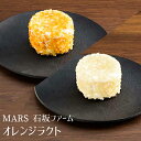 [2個] オレンジラクト 甘夏・不知火 80g 各1個 マース MARS 石坂ファーム しらぬい あまなつ フレッシュチーズ デザートチーズ 柑橘 みかん 熊本 お取り寄せ 産直 357 