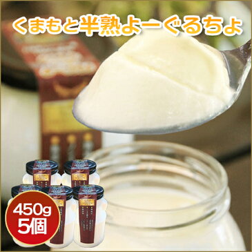 【ギフトにオススメ】作りたてを熊本から直送!くまもと半熟よーぐるちょ(450g×5個セット)