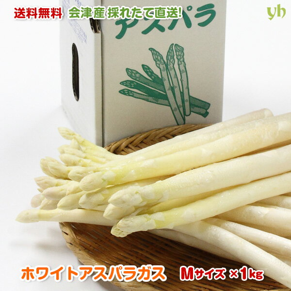 (273) [M 1kg] 送料無料 会津産 ホワイトアスパラガス Mサイズ 1kg (長さ25〜26cm×約60本) 国産 産直 野菜 旬 産地直送 お取り寄せ 朝採り 春野菜 夏野菜 福島 復興 清水食品 クール便 冷蔵のサムネイル