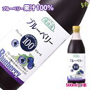 順造選 ブルーベリー100 ストレートジュース 500ml×1本 ブルーベリージュース マルカイ ストレート果汁100% 砂糖不使用