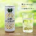 山形県のご当地サイダー 山形パインサイダー 250ml×30本入×1ケース サン＆リブ 山形食品 送料無料 30缶 (155)