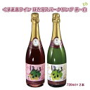 葛巻ワイン(くずまきワイン)ほたるスパークリング 赤・白セット720ml×2本 ギフト箱入 送料無料 岩手葛巻工場から直送 産直 国産 プレゼント ワイン お酒...