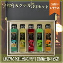 【送料込!】宇都宮カクテル 『5...