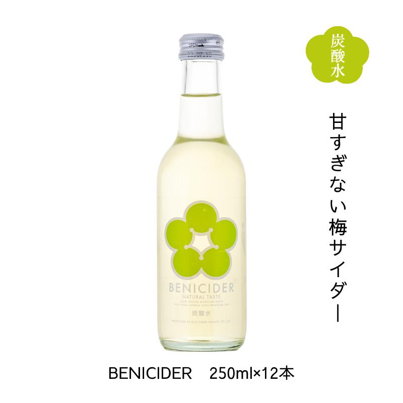 ご当地サイダー BENI CIDER(ベニサイダー) 250ml×12本 送料無料 福井県若狭町より産地直送 若狭三方ビバレッジ エコファームみかた 紅..