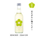 ご当地サイダー BENI CIDER(ベニサイダー) 250ml×12本 送料無料 福井県若狭町より産地直送 若狭三方ビバレッジ エコファームみかた 紅映梅 べにさしうめ サイダー 微炭酸 ノンアルコール BENIサイダー