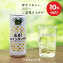 【スーパーSALE★10%OFF】山形県のご当地サイダー 山形パインサイダー 250ml×30本入×1ケース サン&リブ 山形食品 送料無料 30缶
