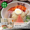 (35) 4食ギフト 具材つき ぴょんぴょん舎 盛岡冷麺 スペシャルセット 4食×1箱 具材付き（キムチ/酢/ゴマ/味付牛肉/きゅうり/ゆでたまご/) お取り寄せ ギフト 熨斗対応 岩手