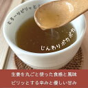 【全品P2倍★マラソン限定】(55) [3袋] ショウガで温活 sweet ginger 紅茶 バニラジンジャー 16g×5P入×3袋無添加 国産原料100% 蒸し生姜 イトク食品生姜湯 生姜紅茶 ジンジャーティー 蒸し生姜 辛い ショウガオール 健康 冷え性 代謝 ダイエット 免疫力 おいしい 3