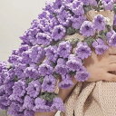 『SNSで話題沸騰』 花束ブランケット ブーケブランケット かぎ針編み・ニット製・手編みフラワーデザイン 洗える 恋人へのデート 誕生日 母の日ギフト インスタ...