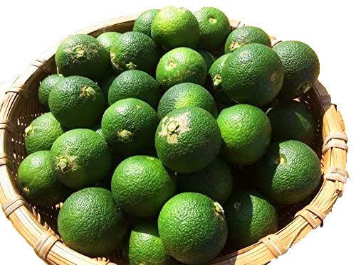 へべす 平兵衛酢 宮崎県 日向市特産 シロップ ドレッシング ジャム ドリンク にも相性抜群☆【良品】種や傷が比較的少ない果実を選別(2kg)