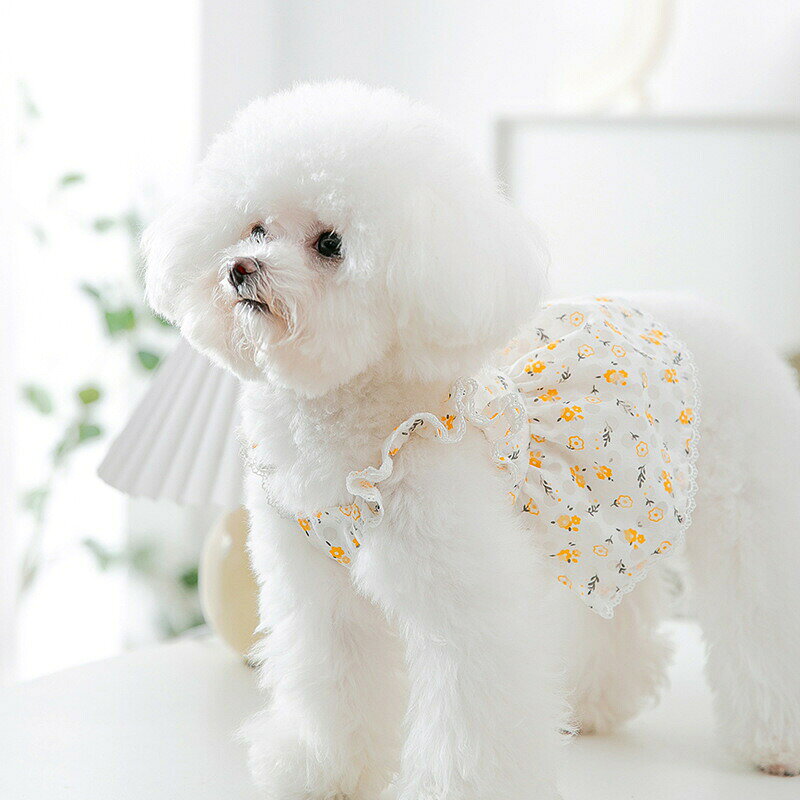ペット服 室内用 コスチューム服 L 漂白剤使用不可 綿製 ワンピース 小型犬 可愛い 在庫処分特価・ 犬猫女子犬 犬服 日焼き防ぐ 夏春 ドッグウェア 部屋着 柔らかい ノースリーブ 通気性 中型犬 柔らかさ お出かけ 記念撮影 抜け毛防止 子犬服 猫服 通気