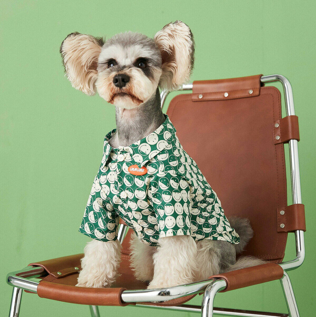 ペット服 室内用 コスチューム服 ペット帽子柔らかさ 小型犬 犬 可愛い 在庫処分特価・ 着脱容易 犬服 日焼き防ぐ 夏春 ドッグウェア 柔らかい ノースリーブ 通気性 中型犬 記念撮影 サイズ展開 子犬服 猫 低温アイロン 猫服 通気 紳士 コットン ペットウェア