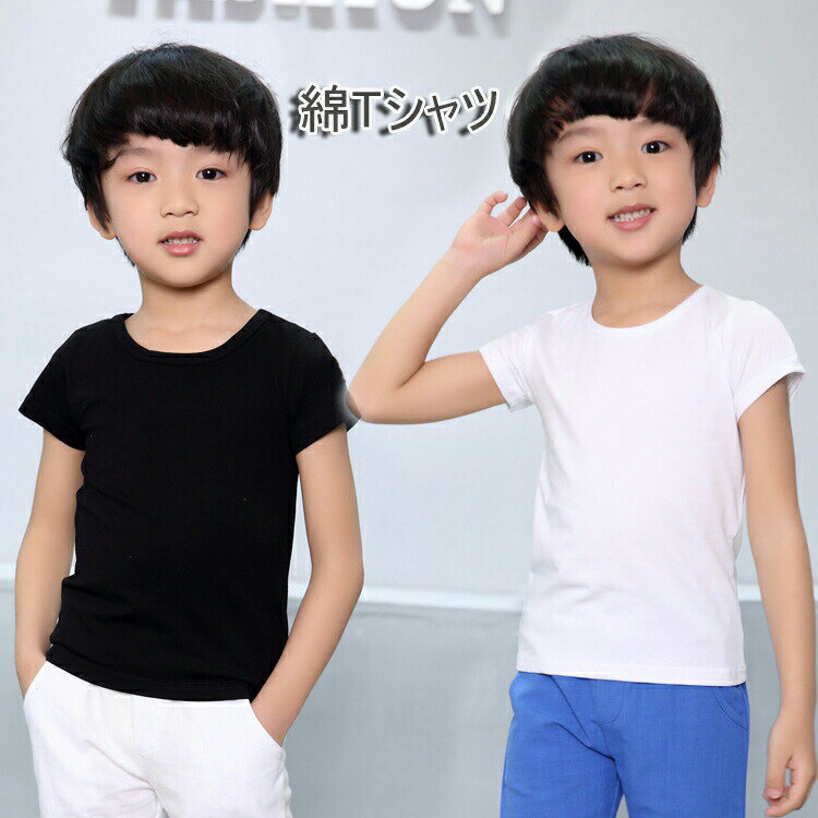 ʿǰפ㤨t å ̵ Ⱦµ Ĺµ T Ҷ ˤλ  Ⱦµ Ĺµ å  t t t 90 100 110 120 130 140 150 160 170 åȥפβǤʤ1,078ߤˤʤޤ