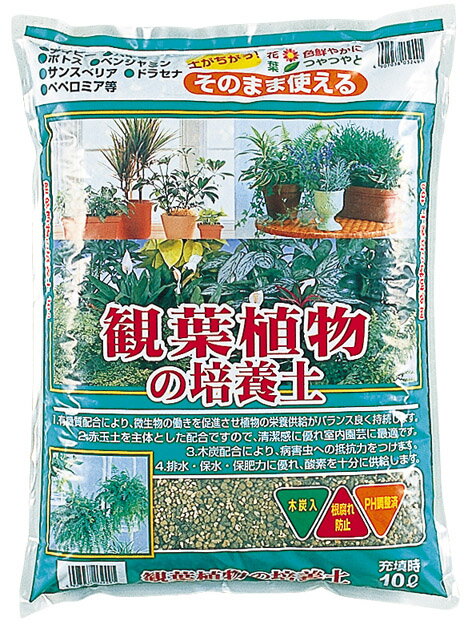 観葉植物の培養土　約10L[g7]【クーポン配布店舗】