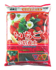 https://thumbnail.image.rakuten.co.jp/@0_mall/heiwa/cabinet/00529276/strawberry10l.jpg