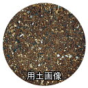 heiwa:10001064のサンプル画像2