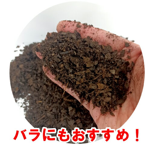 �٤��������ڡ���5L