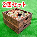 木製ガーデンコンテナ（焼杉）2個セットWGC-01【クーポン配布店舗】g4.5