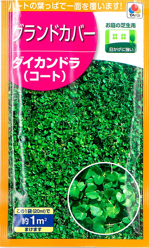 【種】グランドカバー　ダイカンドラ (S-30）【クーポン配布店舗】...
