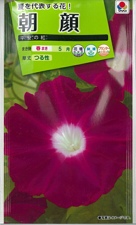 ●学名：Pharbitis nil Choisy ●和名：日本あさがお ●科名：ヒルガオ科 ●花言葉：愛着 ●まきどき：春まき4〜6月 ●発芽適温：約20℃〜29℃ ●楽しみ方：プランター・花壇・鉢植え ●育て方： 気温が約23℃を越える頃から、日当たりと水はけのよい所に床か箱まきします。 覆土は約1．5cmにして発芽まではひどく乾かさないように水やりします。 双葉が十分開いた時、鉢上げまたは垣根などに定植します。 苗は晩霜に当てないように注意します。大輪の花を咲かせるには肥料を十分与えます。 ●このタネは、傷をつけずにまいてください。 ＊タキイ種苗株式会社