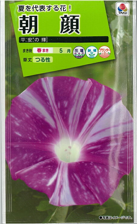 【種】朝顔　平安の輝(S-1）【クーポン配布店舗】
