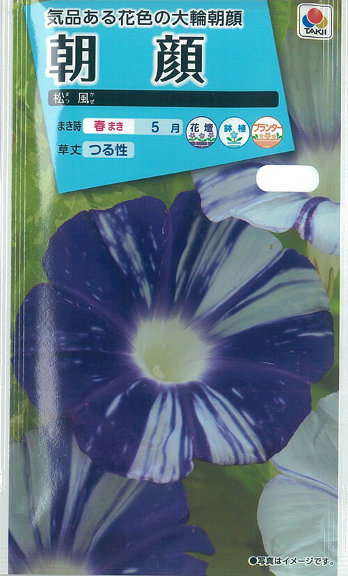 �ڼ��ī�顡����(S-4)�ڥ����ݥ�����Ź�ޡ�