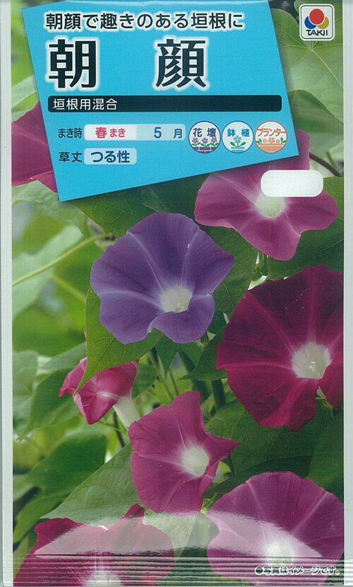 �ڼ��ī�顡�����Ѻ��� ��S-71�ˡڥ����ݥ�����Ź�ޡ�