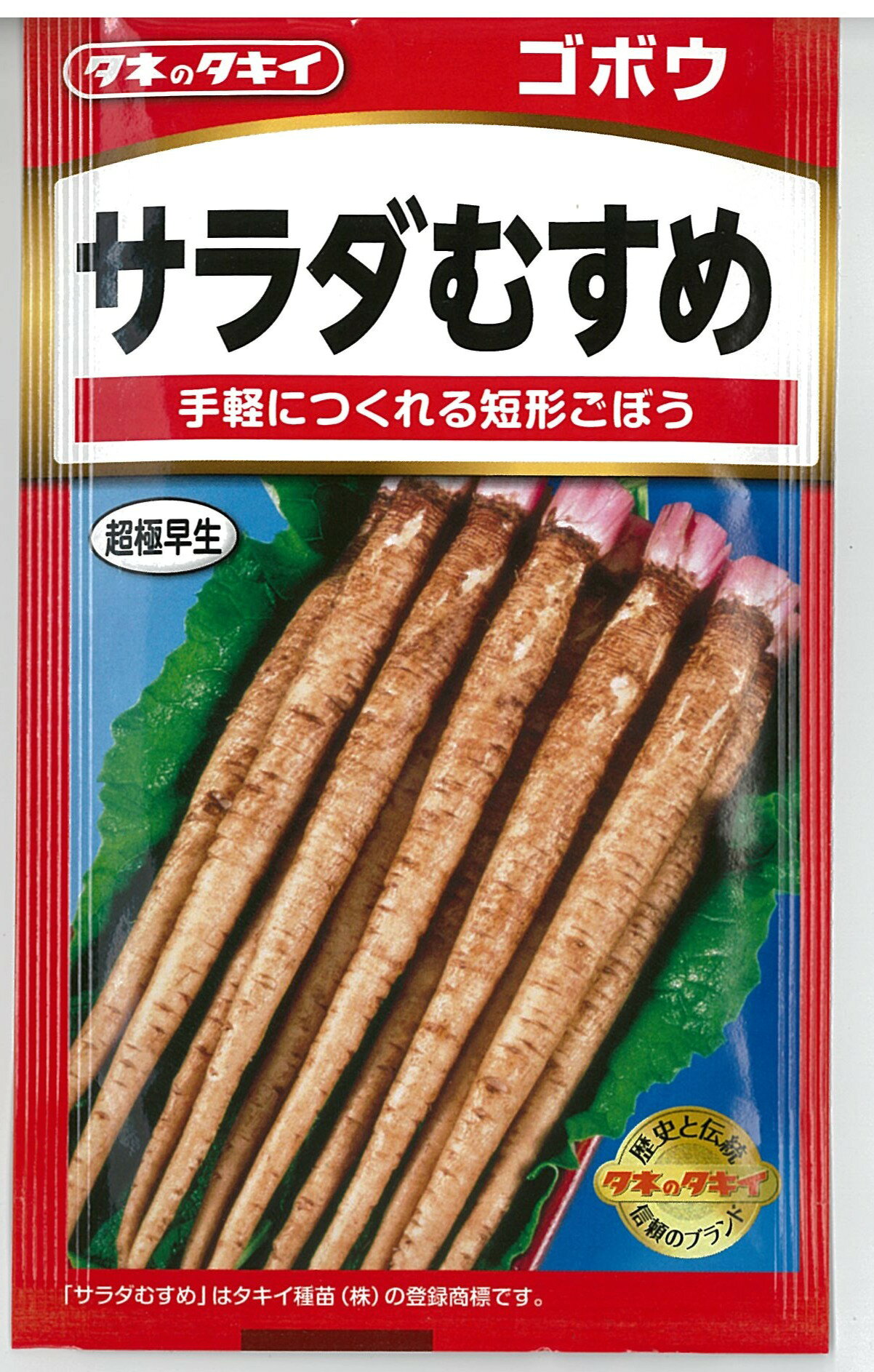 手軽に作れる短根の超極早生種！ ●発芽適温：20〜25℃ ●まきどき：2〜6月 ●収穫期：6〜10月 ●特長： ○早太り性にすぐれ、手軽に作れる。 ○短根でまとまりがよく、収穫も楽しい。 ○香りがよく、サラダやキンピラにぴったり。 ●育て方： 【種まき】発芽温度、水分条件が満たされない場合は、正常発芽しないことがあります。 通気、排水性にすぐれた日当たりのよい畑が適します。 株間10センチで、深さおよそ1〜1．5センチに3〜4粒まいて覆土し、軽く鎮圧します。 畑の乾燥が激しい場合には、十分潅水してからタネをまくか、タネまき後に十分潅水して発芽を揃えます。 【栽培要点】 ○本葉3〜4枚までに生育中位なものを1本残して間引きします。 ○間引きの遅れは、生育の遅滞や不ぞろいの原因にもなるので、早めにしてください。 ○生育期間が長いため、間引きから収穫までの間に2度ほど追肥し、後半まで肥効が続くような肥培管理が必要です。 ○連作だと極端に生育が悪くなり収量が落ちるので、4〜5年の輪作を心掛けてください。 ＊タキイ種苗株式会社