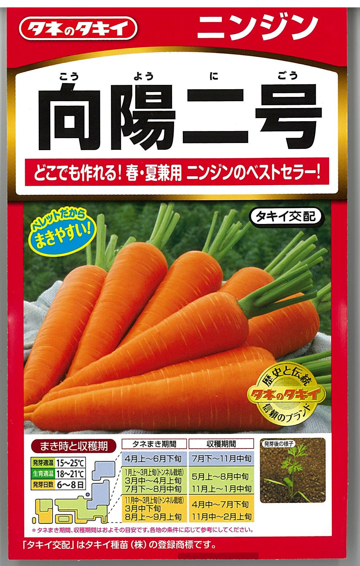Rakuten - 【種】ニンジン　向陽二号　（S-64）【クーポン配布店舗】