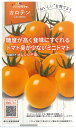 【種】カロテンリッチミニトマト　オレンジ千果（S-36）【クーポン配布店舗】