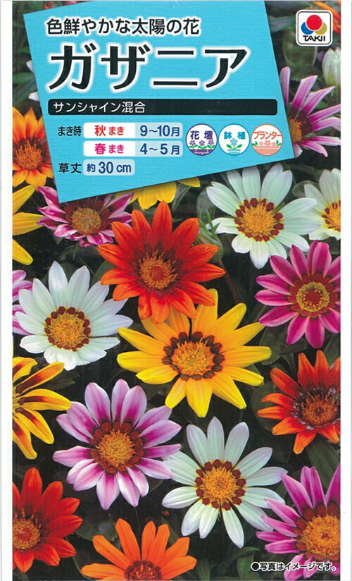 【種】ガザニア　サンシャイン混合（S-14）