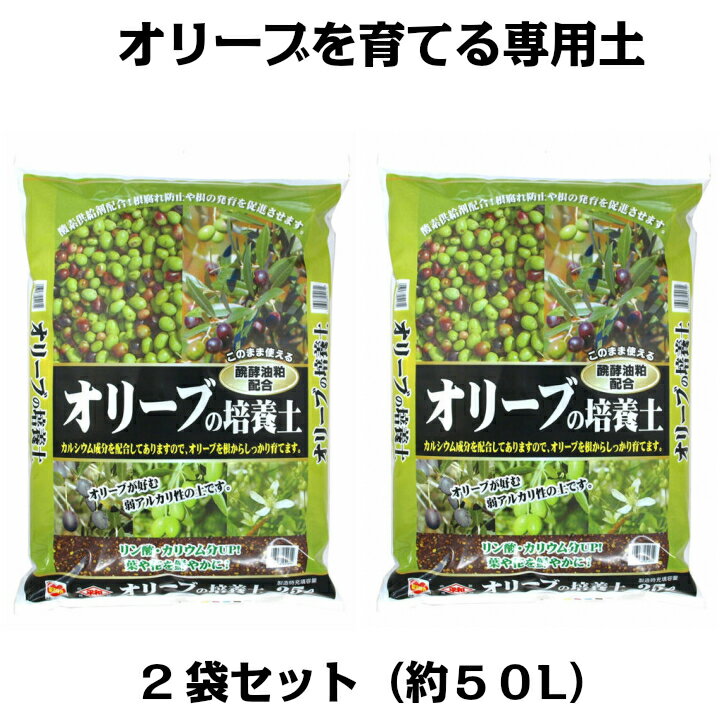 オリーブの培養土 25L×2袋セット（約50リットル） g26 【クーポン配布店舗】