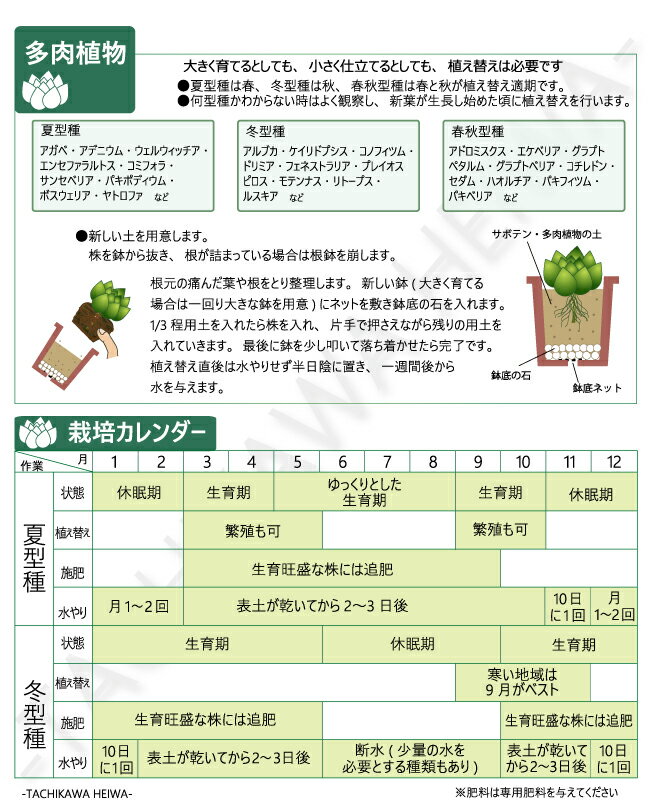 サボテン・多肉植物の培養土　約10L【クーポン配布店舗】 3