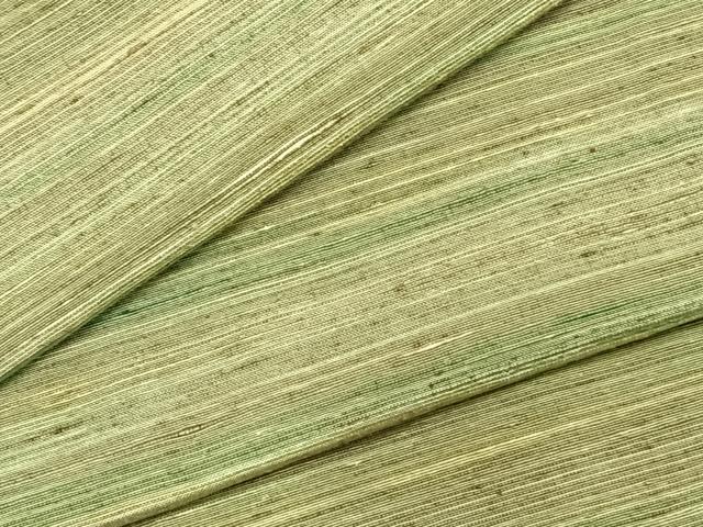 平和屋着物▽上質な紬　単衣　横縞　正絹　逸品　AABA7777fy(4)