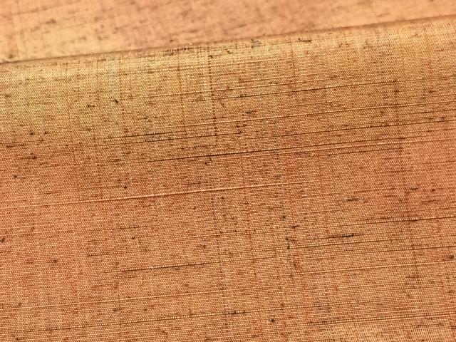 平和屋着物■上質な紬 霞文 正絹 逸品 CAAZ1960xe