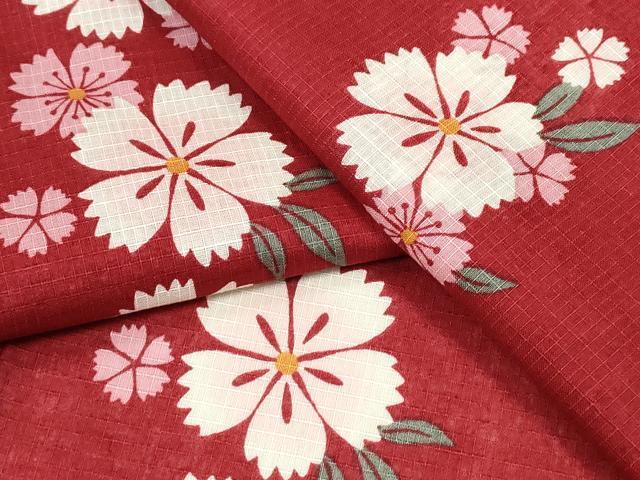 平和屋着物∴夏物　浴衣　綿紅梅　舞花文　綿　逸品　CABD2484ng
