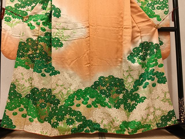 ʿ�²���ʪ����ڿ�µ����ɽ������ʸ���������ᡡ��̡����������ʡ�AABF0047ph