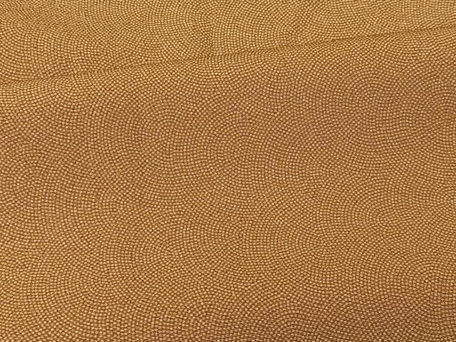 平和屋着物■江戸小紋 鮫小紋柄 胴抜き仕立て 正絹 逸品 CAAP5635kb