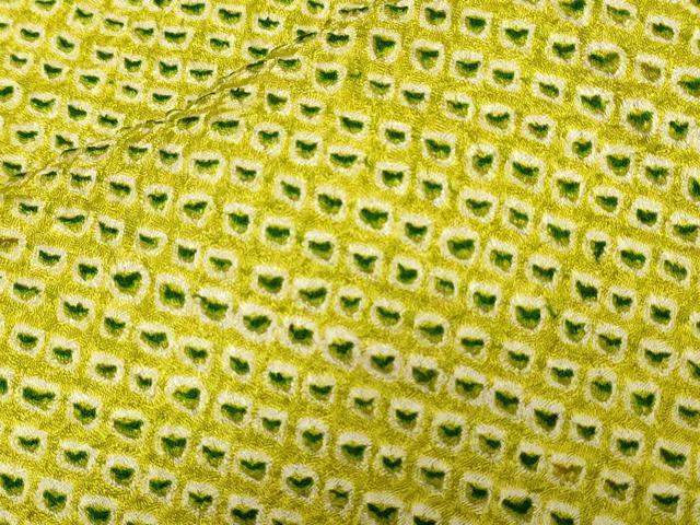 ■■■　サイズ　■■■ 身丈 155cm（肩から） 裄丈 63cm 袖丈 46cm　縫込み 5cm 袖幅 33cm 前幅 22cm 後幅 28cm 着物縫いこみ 内揚げ 5cm 裄 お袖側 約1cm　身頃側 約2cm ■■■　商品詳細　■■...