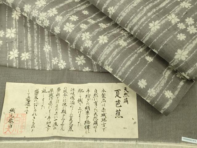 楽天市場】絹芭蕉の通販