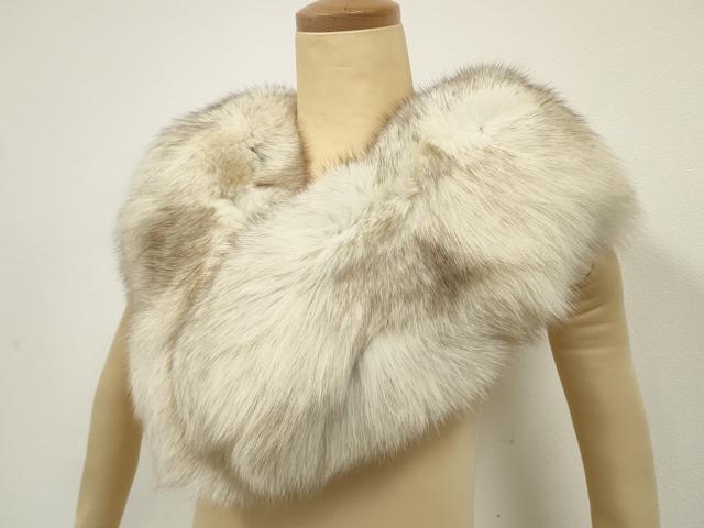 楽天市場】ブルーフォックス サガフォックスの通販